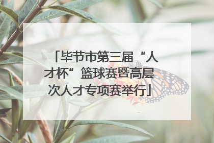 毕节市第三届“人才杯”篮球赛暨高层次人才专项赛举行