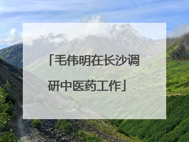 毛伟明在长沙调研中医药工作
