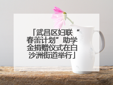 武昌区妇联“春蕾计划”助学金捐赠仪式在白沙洲街道举行