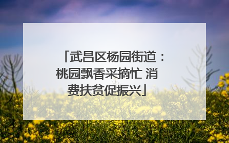 武昌区杨园街道：桃园飘香采摘忙 消费扶贫促振兴