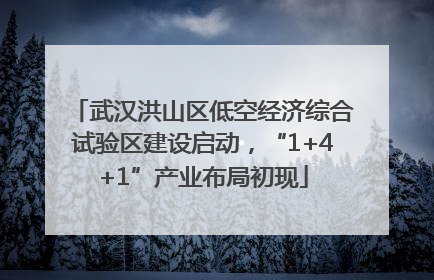 武汉洪山区低空经济综合试验区建设启动，“1+4+1”产业布局初现