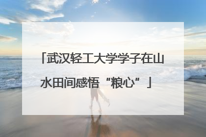 武汉轻工大学学子在山水田间感悟“粮心”