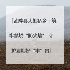 武陟县大虹桥乡：筑牢禁烧“防火墙” 守护夏粮好“丰”景