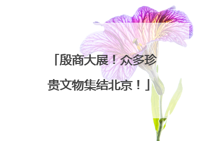 殷商大展！众多珍贵文物集结北京！
