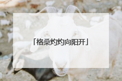 格桑灼灼向阳开