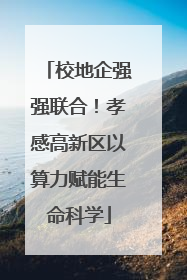 校地企强强联合！孝感高新区以算力赋能生命科学