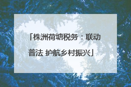 株洲荷塘税务：联动普法 护航乡村振兴