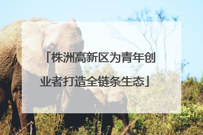 株洲高新区为青年创业者打造全链条生态