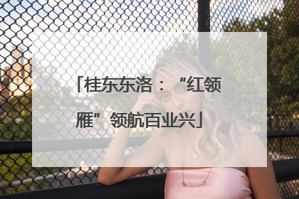 桂东东洛：“红领雁”领航百业兴