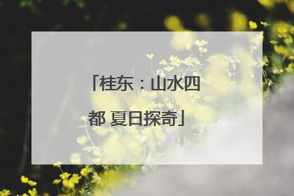 桂东：山水四都 夏日探奇