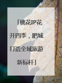 桃花IP花开四季，肥城打造全域旅游新标杆