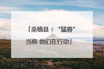 桑植县：“猛兽”当前 他们在行动