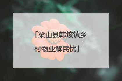 梁山县韩垓镇乡村物业解民忧