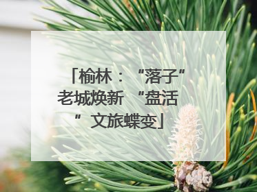 榆林：“落子”老城焕新 “盘活”文旅蝶变