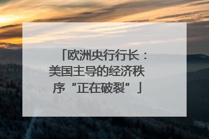 欧洲央行行长：美国主导的经济秩序“正在破裂”