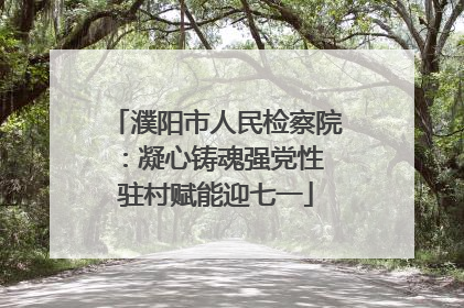 濮阳市人民检察院：凝心铸魂强党性 驻村赋能迎七一