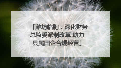 潍坊临朐：深化财务总监委派制改革 助力县属国企合规经营