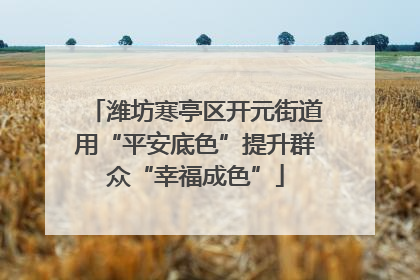 潍坊寒亭区开元街道用“平安底色”提升群众“幸福成色”