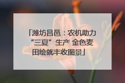 潍坊昌邑：农机助力“三夏”生产 金色麦田绘就丰收图景