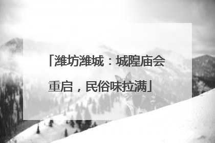 潍坊潍城：城隍庙会重启，民俗味拉满