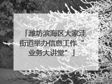潍坊滨海区大家洼街道举办信息工作“业务大讲堂”
