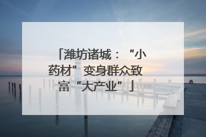 潍坊诸城：“小药材”变身群众致富“大产业”
