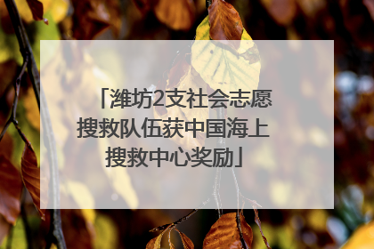 潍坊2支社会志愿搜救队伍获中国海上搜救中心奖励