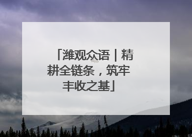 潍观众语｜精耕全链条，筑牢丰收之基
