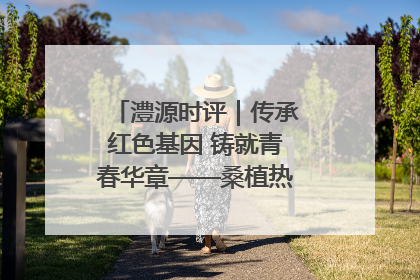 澧源时评｜传承红色基因 铸就青春华章——桑植热土上的青春长征