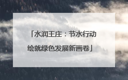 水润王庄：节水行动绘就绿色发展新画卷