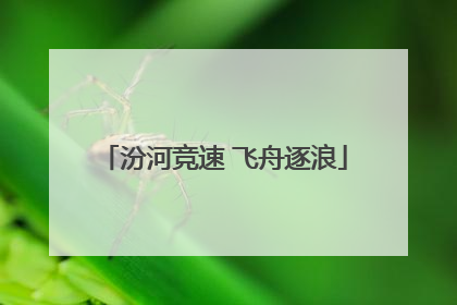 汾河竞速 飞舟逐浪