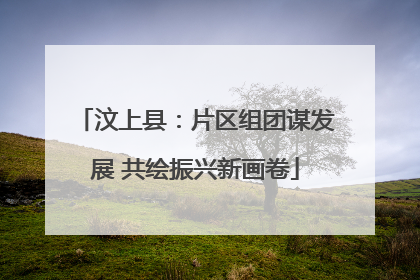 汶上县：片区组团谋发展 共绘振兴新画卷