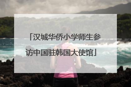 汉城华侨小学师生参访中国驻韩国大使馆