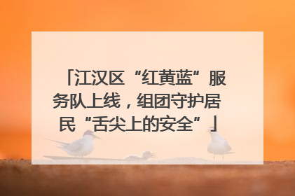 江汉区“红黄蓝”服务队上线，组团守护居民“舌尖上的安全”