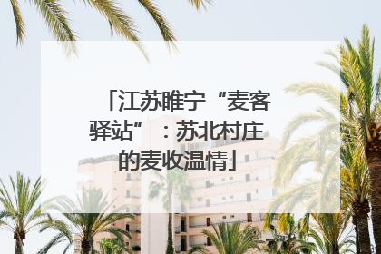 江苏睢宁“麦客驿站”：苏北村庄的麦收温情