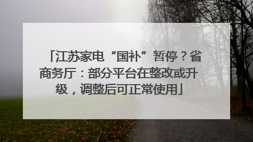 江苏家电“国补”暂停？省商务厅：部分平台在整改或升级，调整后可正常使用