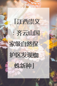江西崇义：齐云山国家级自然保护区发现蜘蛛新种