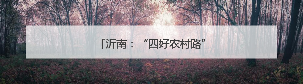 沂南：“四好农村路”舒展乡村振兴新画卷