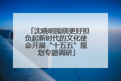 沈晓明围绕更好担负起新时代的文化使命开展“十五五”规划专题调研