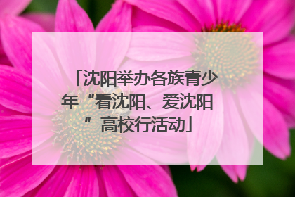沈阳举办各族青少年“看沈阳、爱沈阳”高校行活动