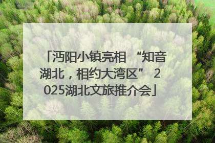 沔阳小镇亮相 “知音湖北，相约大湾区” 2025湖北文旅推介会