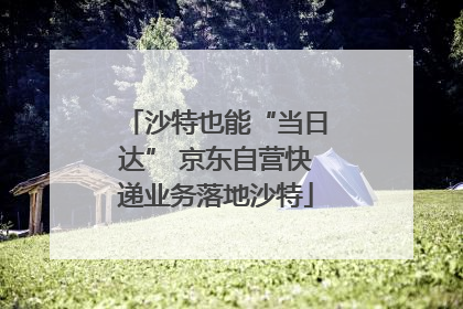 沙特也能“当日达” 京东自营快递业务落地沙特