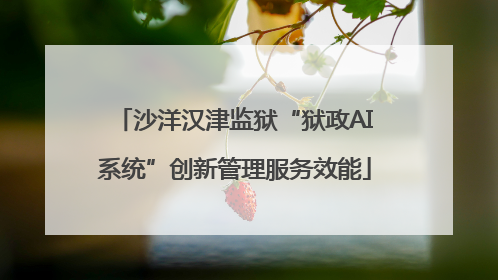 沙洋汉津监狱“狱政AI系统”创新管理服务效能