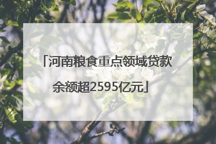 河南粮食重点领域贷款余额超2595亿元