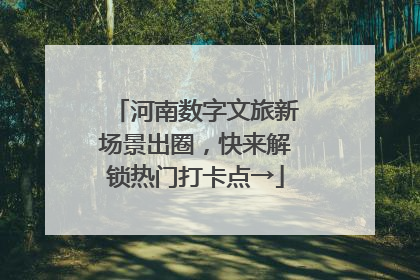 河南数字文旅新场景出圈，快来解锁热门打卡点→