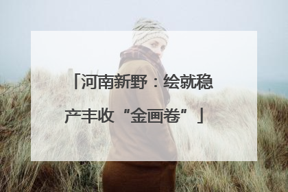河南新野：绘就稳产丰收“金画卷”