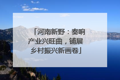 河南新野：奏响产业兴旺曲，铺展乡村振兴新画卷