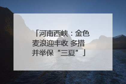 河南西峡：金色麦浪迎丰收 多措并举保“三夏”