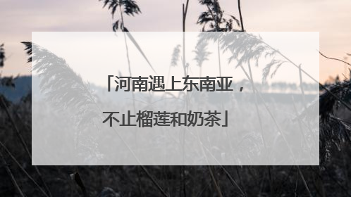 河南遇上东南亚，不止榴莲和奶茶