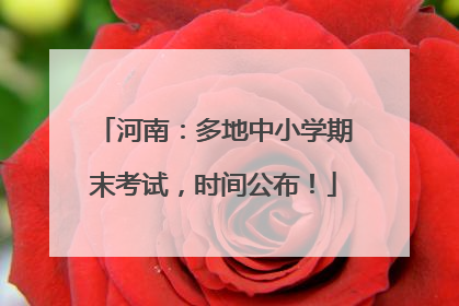河南：多地中小学期末考试，时间公布！